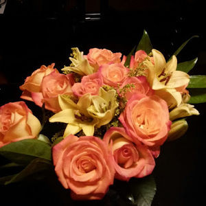 Meet your Posher, Imelda